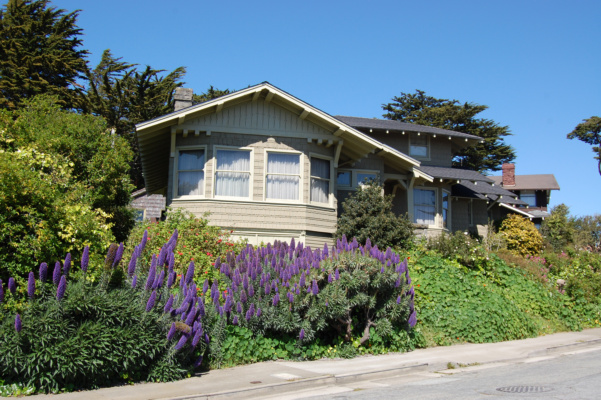 Ingleside Terraces Cedro Avenue