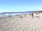 Pelican Grand Beach Resort Military Discount Pelican Grand Beach Resort Military Discount