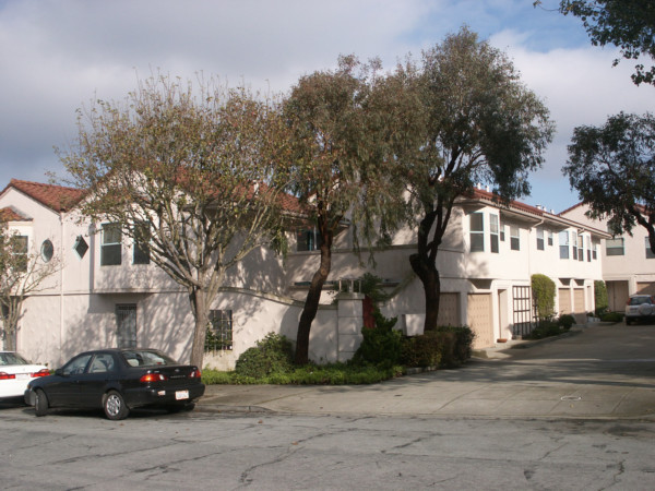 photo 2006