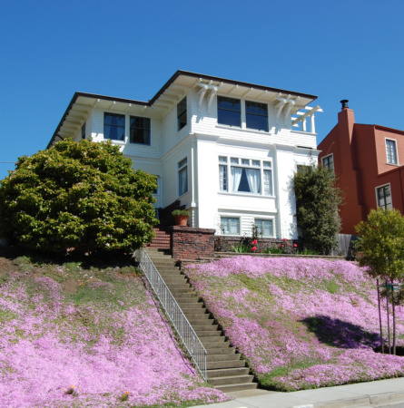Ingleside Terraces Cerritos Avenue