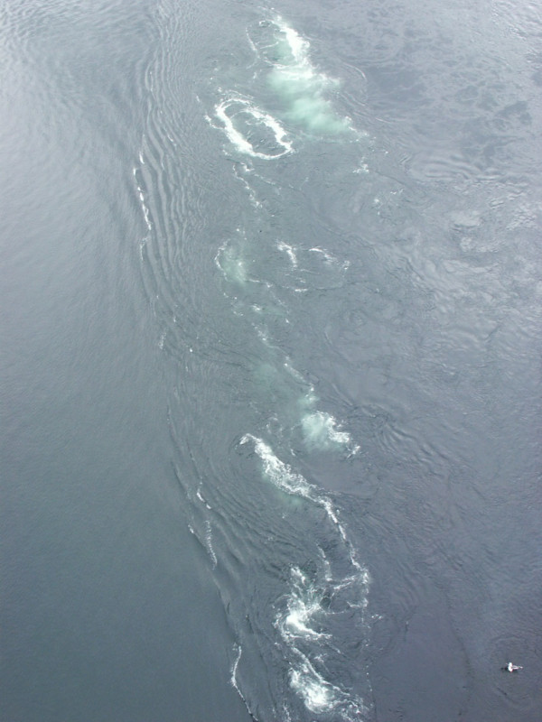 maelstrom near Bodo, Norway