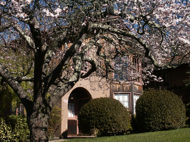 Rose Walk, Berkeley