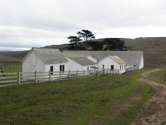 Pierce Ranch, Point Reyes