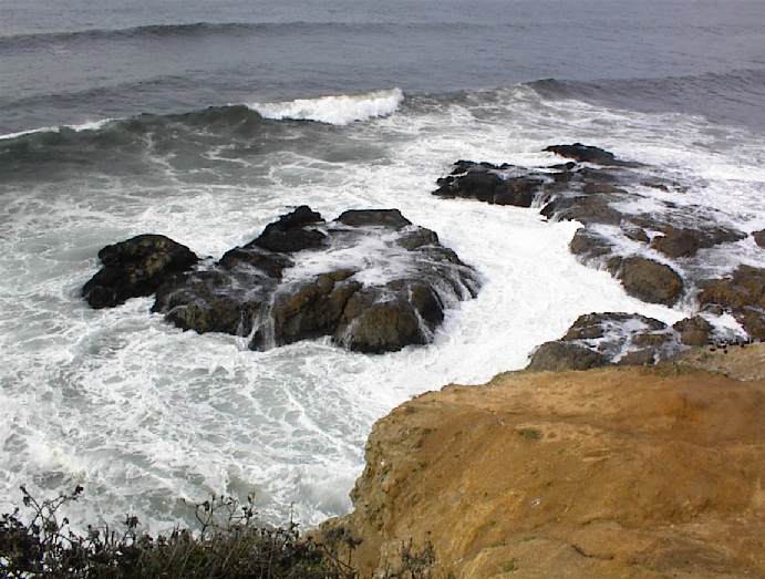 Tomales Point